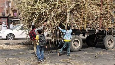 كان بيسحب عود قصب.. مصرع تلميذ أسفل جرار زراعي في قنا