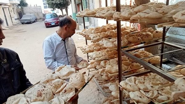 حملات تفتيشية بالمنيا