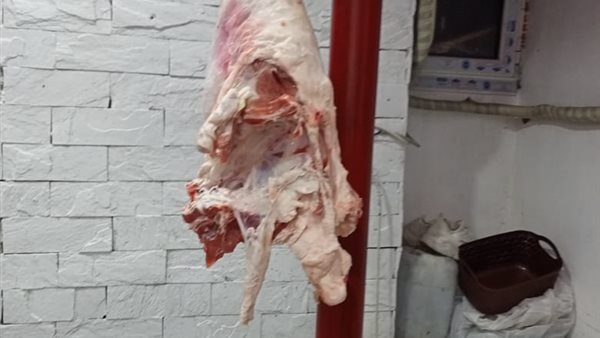 ضبط 5 طن لحوم مجهولة