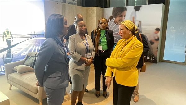 الدكتورة ياسمين فؤاد