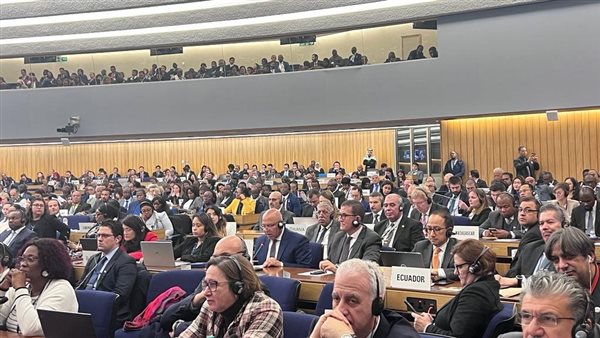 اجتماعات المنظمة