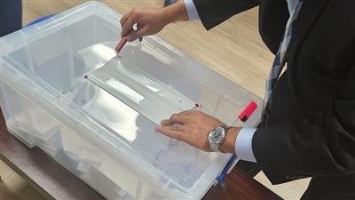 رسميا.. لجان المغتربين في انتخابات الرئاسة بالاسم في الإسكندرية والجيزة 