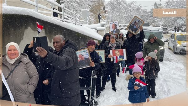 انتخابات المصريين