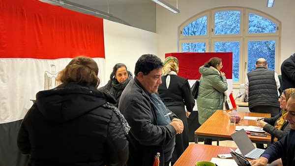 المصريين في النمسا