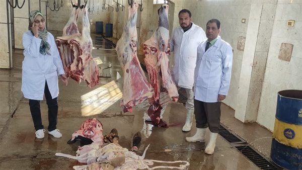 بيطرى الأقصر يتخلص