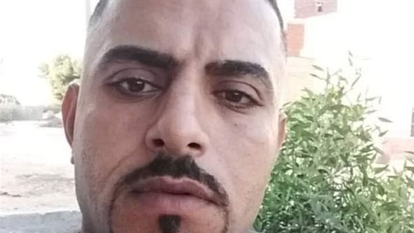 حمدى سالم سليم محمد