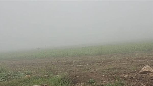 شبورة - أرشيفية