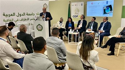 محيي الدين: الشراكات بين القطاعين العام والخاص لتنفيذ مشروعات المناخ