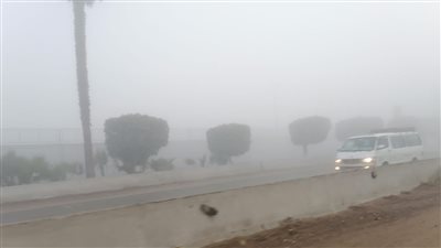 شبورة مائية كثيفة تغطي سماء الغربية..والمحافظ يرفع درجة الاستعدادات 
