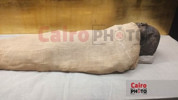 مومياء الملك مري