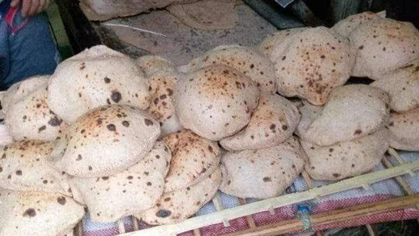 حملات تفتيشية بالمنيا