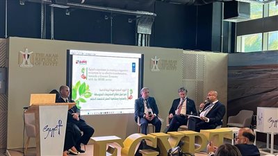 رئيس لجنة الالتزام البيئي باتحاد الصناعات: نعمل على توطين تصنيع وإنتاج الهيدروجين الأخضر