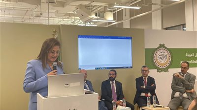 وزيرة التخطيط: التحول إلى الطاقة المتجددة فرصة استراتيجية للشرق الأوسط