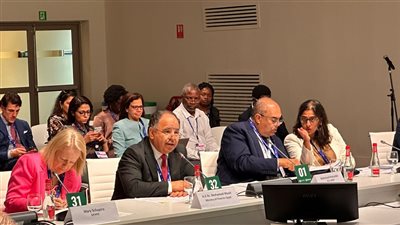 وزير المالية: إفريقيا تحصل على 5.5% من ؜التمويلات المناخية من البنوك والمؤسسات متعددة الأطراف