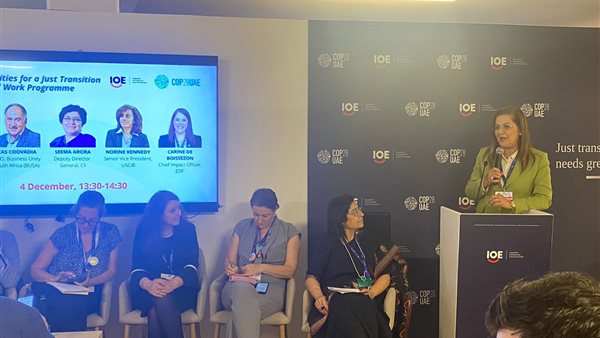 وزيرة التخطيط 