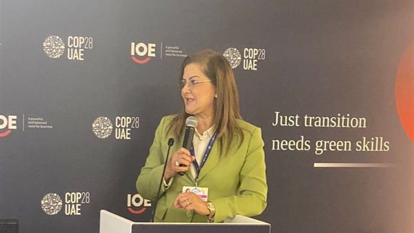 وزيرة التخطيط