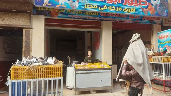 غلق وتشميع طيور أبو