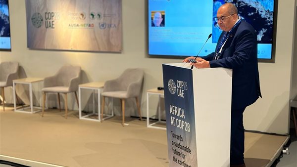 الدكتور محمود محيي