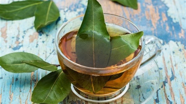 ما هو ورق السدر