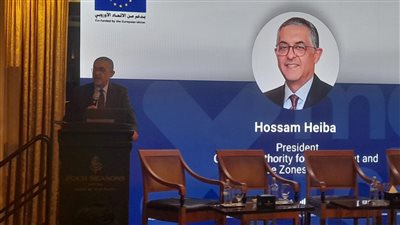 رئيس هيئة الاستثمار: إطلاق منصة لتأسيس الشركات إلكترونيا يناير المقبل| خاص 