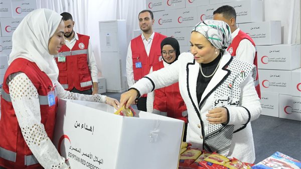 انتصار السيسي 