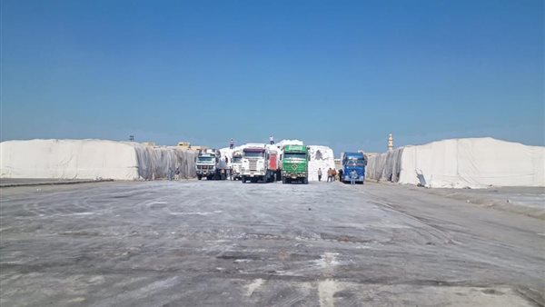  شركات بنجر السكر