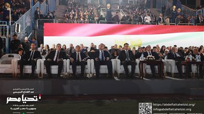 مؤتمرات في ستاد القاهرة وبتروسبورت.. الأحزاب الداعمة للمرشح عبد الفتاح السيسي تختتم فعالياتها 