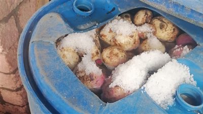 إعدام 1248 كيلو أغذية فاسدة خلال حملات للصحة في الدقهلية