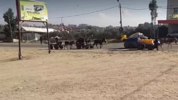 أهالي غزة يفرون من