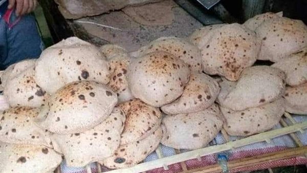 حملات تفتيشية بالمنيا