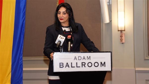 غادة شلبي نائب الوزير