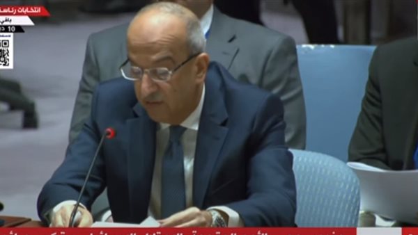 مندوب مصر بالأمم