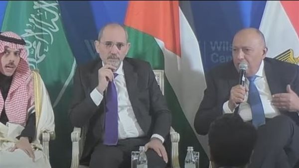 وزير الخارجية 