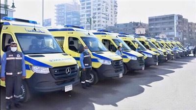 تسجيل 15 حالة إصابة داخل وبمحيط اللجان الانتخابية في الدقهلية 