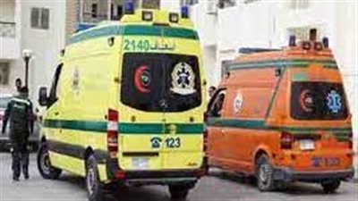 تريلا تدهس فتاة بالغربية.. وإصابة 14 شخصا في انقلاب سيارة بطريق العين السخنة | بث مباشر 