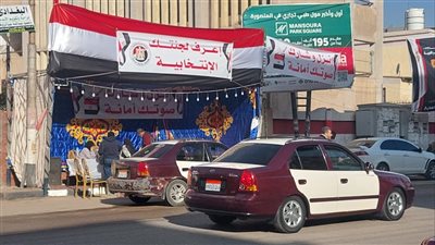 أعرف لجنتك.. متطوعون يتواجدون بمحيط المقار الانتخابية لمساعدة الناخبين في الدقهلية