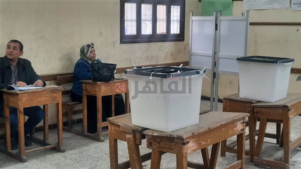 انتخابات محافظة المنيا