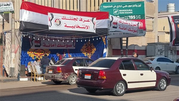 متطوعون امام اللجان