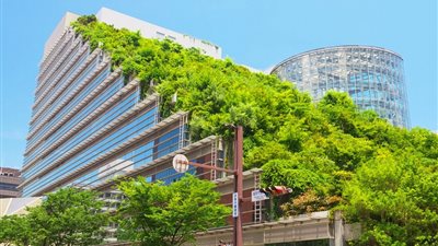 8 مميزات للمباني الخضراء بعد اعتزام الدولة والمستثمرين التوسع في تنفيذها