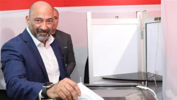 نائب الرئيس التنفيذي