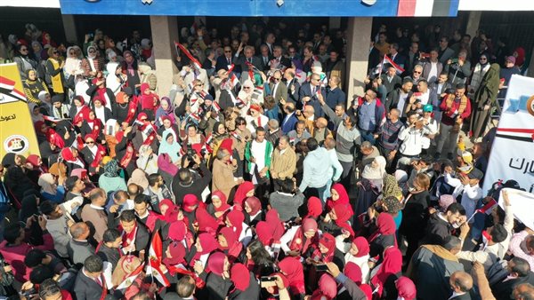 جامعة المنيا