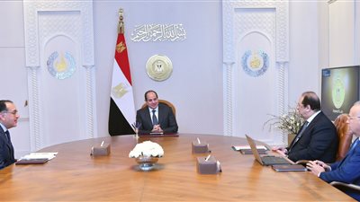 السيسي يشدد على أهمية التعاون في المشروعات مع دول حوض النيل