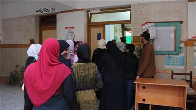 انتخابات الرئاسة 2024.. إقبال على التصويت بالدقهلية قبل ساعات من غلق اللجان في اليوم الأخير