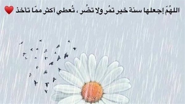 تهاني السنة الجديدة