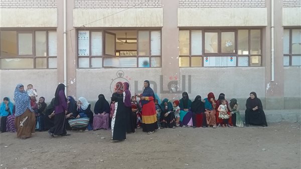 السيدات يتصدرن المشهد