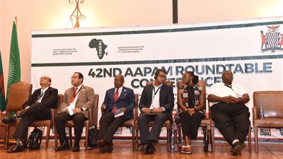 مصر تفوز بالمركز الثاني بمسابقة الإدارة المبتكرة للجمعية الإفريقية للإدارة العامة 