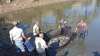 جامعة بنها: دعم الوحدات والمزارع الإنتاجية لتغطية احتياجات المجتمع