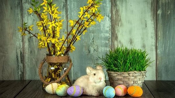 عيد شم النسيم