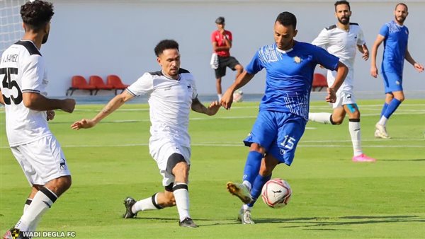 دوري المحترفين 