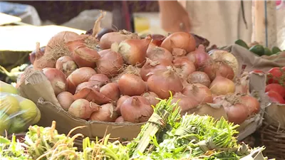  شعبة الخضراوات: أزمة البصل طبيعية بسبب عزوف الفلاحين عن زراعته